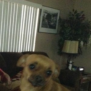 Meet your Posher, Peggy